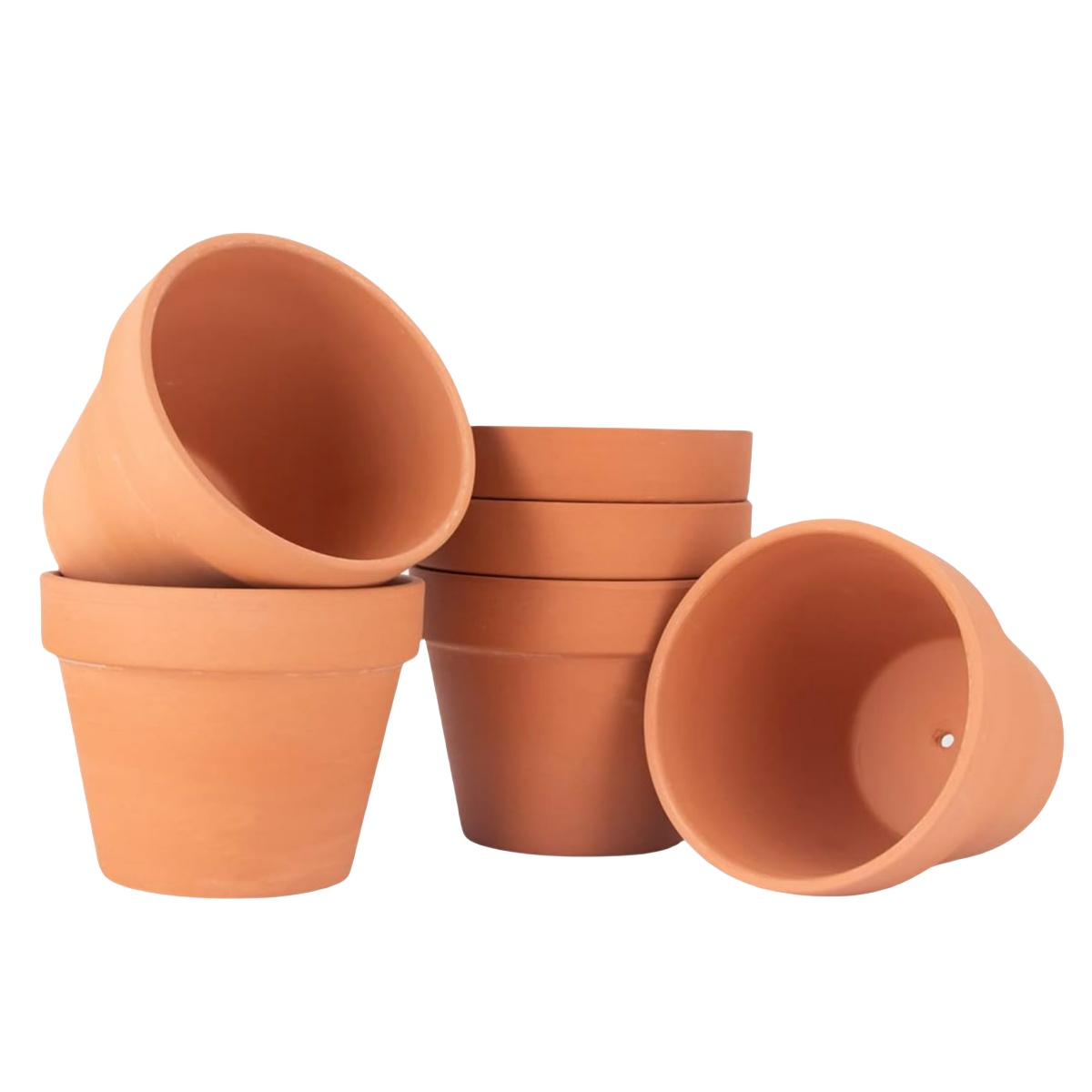 Cactus Mix Pot - 6 قطعة 4 بوصة أواني الطين