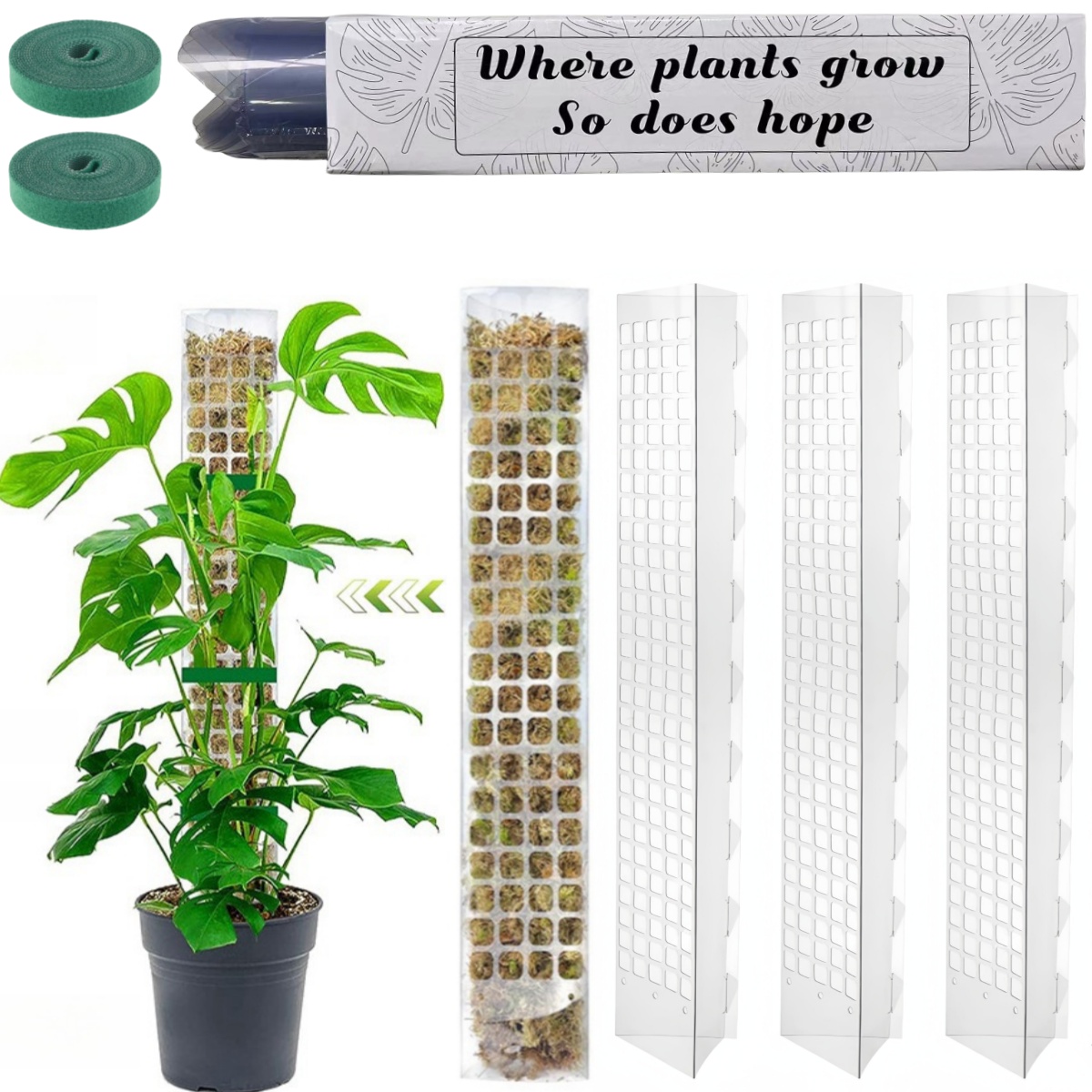 Monstera Thai Constellation - حامل نباتات بلاستيكي على شكل عمود