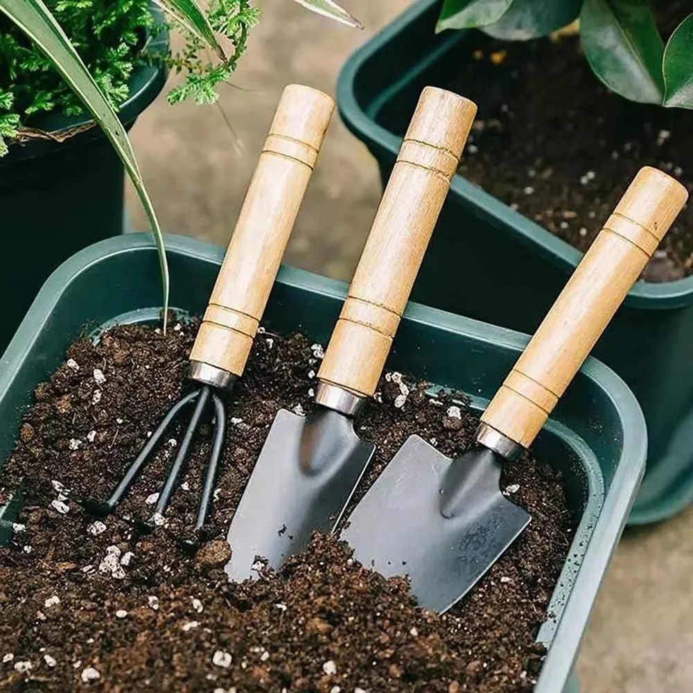 Cactus Mix Pot - مجموعة أدوات حدائق صغيرة مكونة من