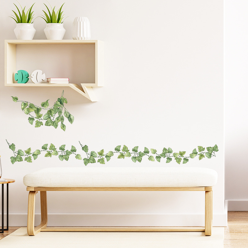 Monstera Thai Constellation - 1 قطعة أوراق خضراء طازجة صغيرة