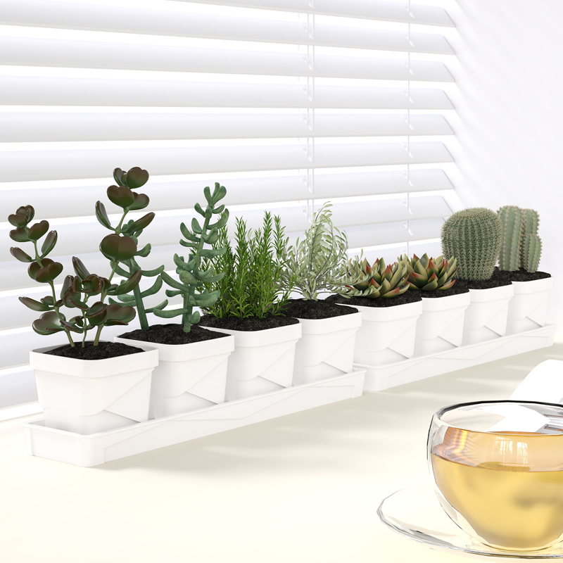 Cactus Mix Pot - وعاء نباتات عصارية بتصميم نورديك بسيط