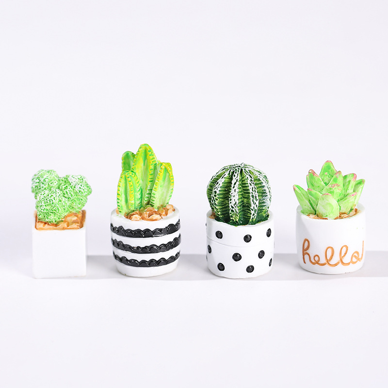 4 قطع/مجموعة من الحلي الصغيرة  - مراجعة Cactus Mix Pot وسعره