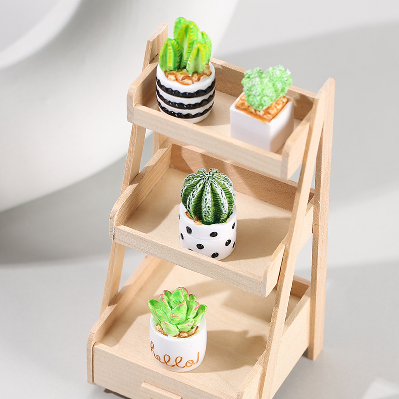 4 قطع/مجموعة من الحلي الصغيرة  - مراجعة Cactus Mix Pot وسعره