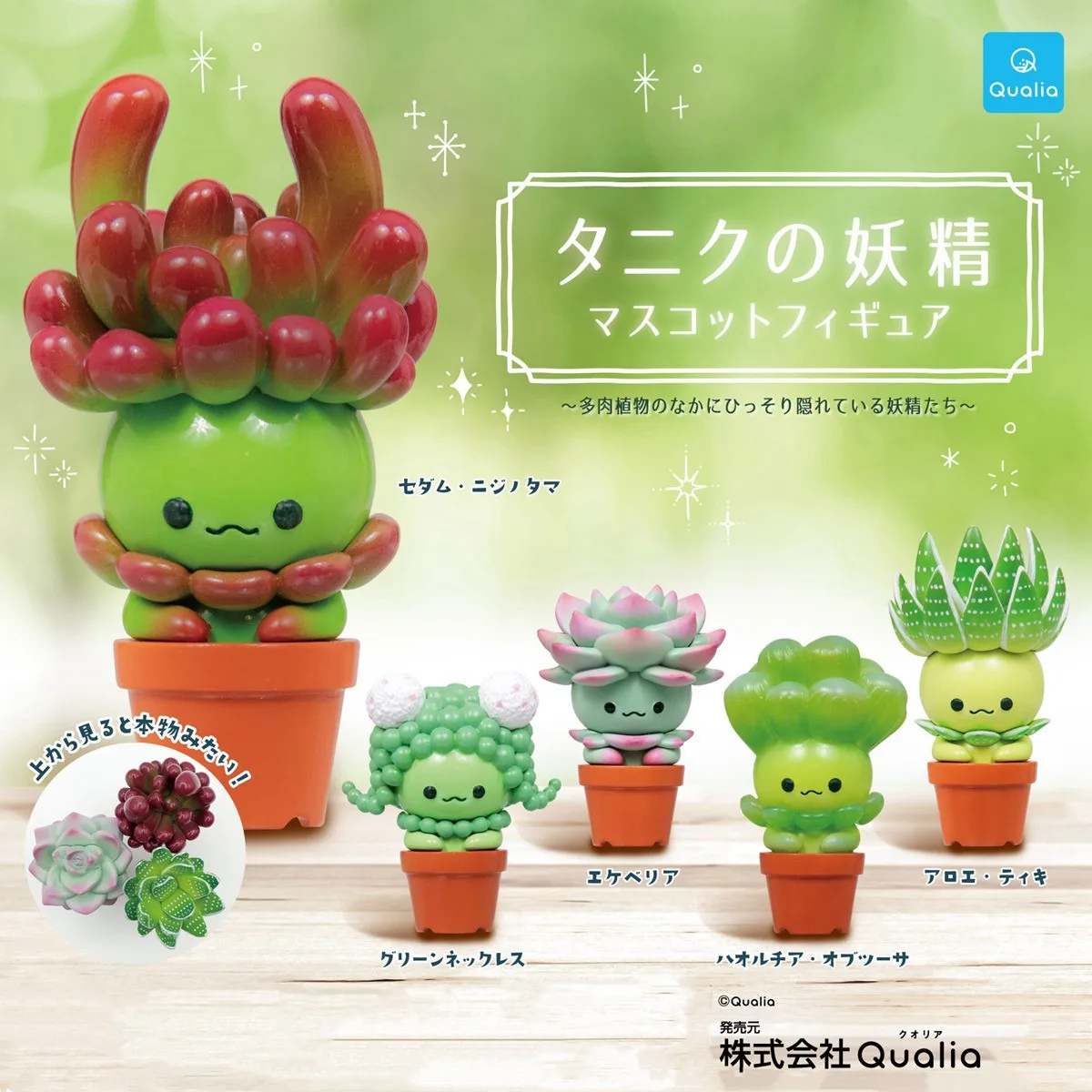 مجسمات كواليا كاواي غاشابون ال - مراجعة Cactus Mix Pot وسعره