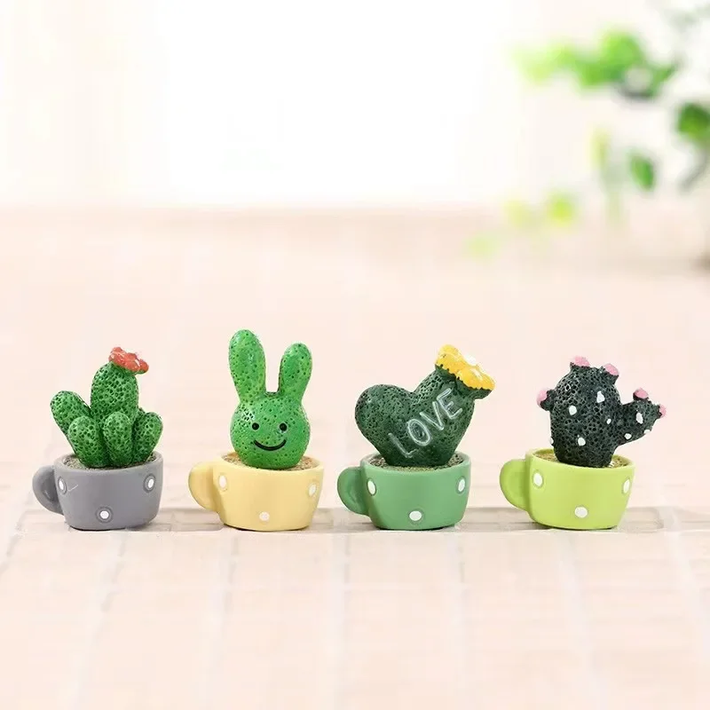 مكيف هواء وصبار صغير من الراتي - مراجعة Cactus Mix Pot وسعره