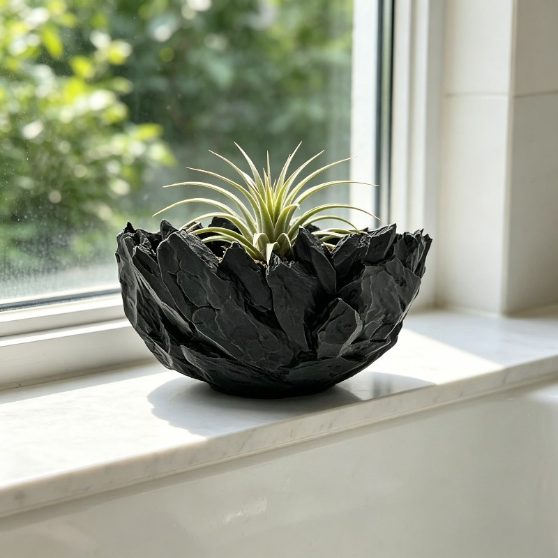 وعاء نباتات كبير بقطر واسع، بت - مراجعة Cactus Mix Pot وسعره