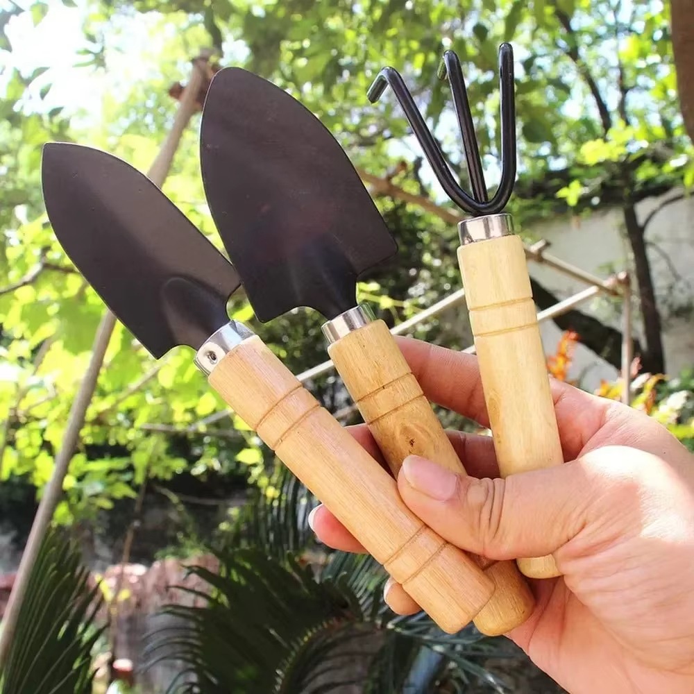 مجموعة أدوات حدائق صغيرة مكونة - مراجعة Cactus Mix Pot وسعره