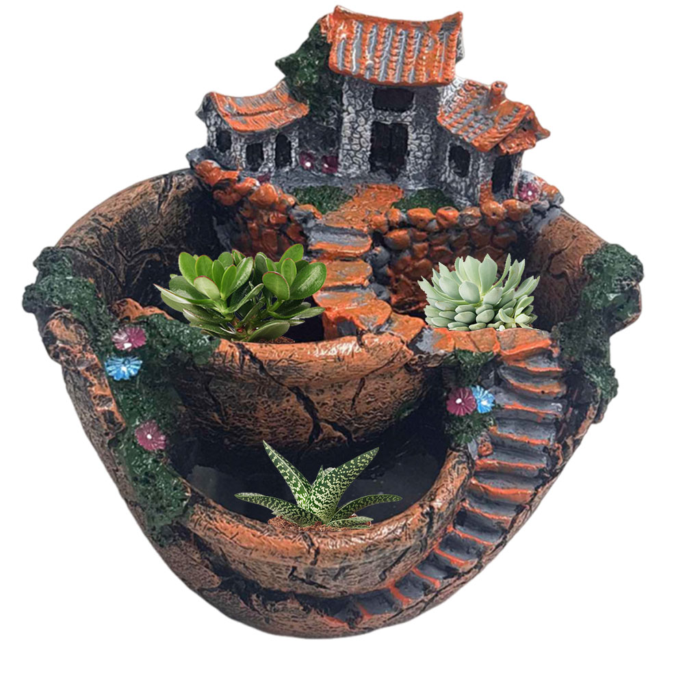وعاء نباتات عصارية بتصميم عتيق - مراجعة Cactus Mix Pot وسعره