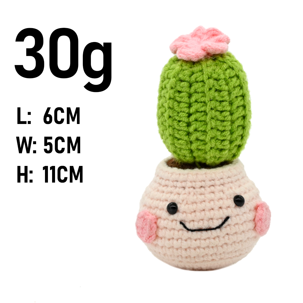 نبات الصبار المحبوك يدويًا من  - مراجعة Cactus Mix Pot وسعره