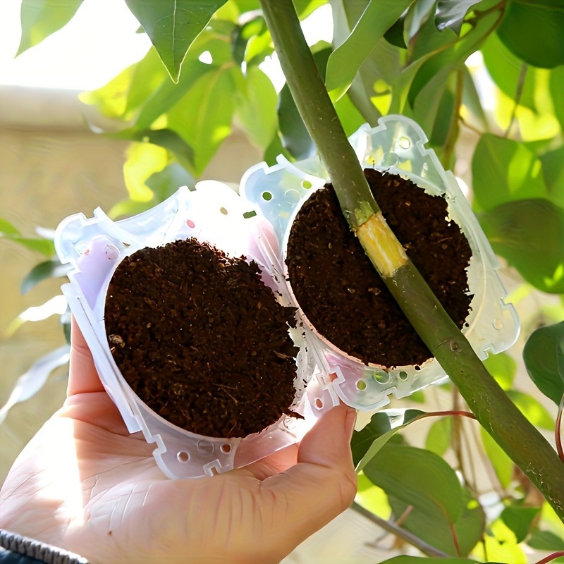 10 قطع من أدوات تكاثر النباتات - مراجعة Plant Parent Kit وسعره